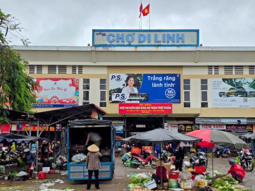 Kỷ niệm quay phim Di Linh