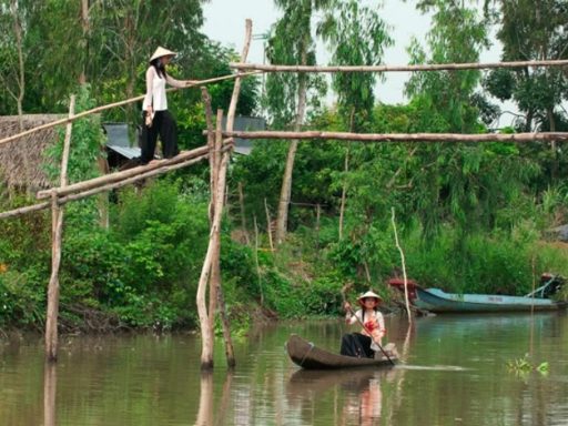 Cầu khỉ và cầu cá