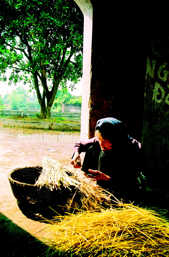 Bà ngoại của hai đứa con tôi