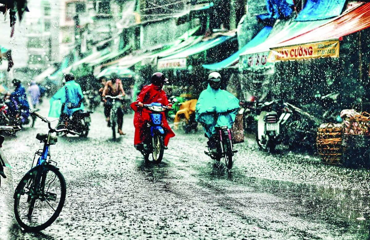 Mùa mưa đã về
